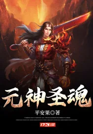 《元神圣魂》小说封面