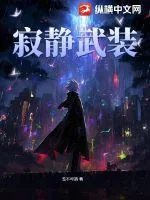 《寂静武装》小说封面