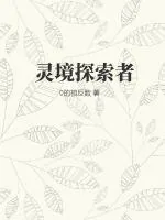 《灵境探索者》小说封面