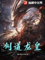 《剑道龙皇》小说封面