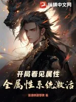 《开局看见属性，全属性系统激活！》小说封面