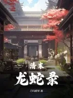 《清末龙蛇录》小说封面