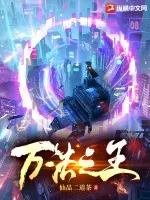 《万法之王》小说封面