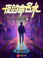 《夜的命名术》小说封面