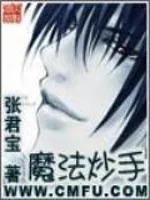 《魔法炒手》小说封面
