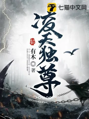 《凌天独尊》小说封面