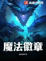 《魔法徽章》小说封面