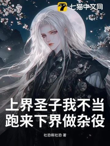 《上界圣子我不当，跑来下界做杂役？》小说封面
