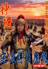 《神将:定远将军鹰龙》小说封面
