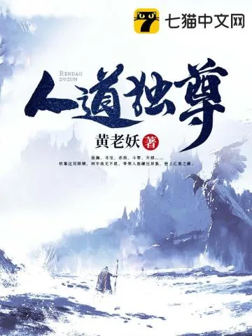 《人道独尊》小说封面
