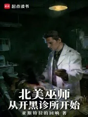 《北美巫师，从开黑诊所开始》小说封面