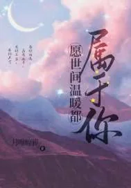 《愿世间温暖都属于你》小说封面