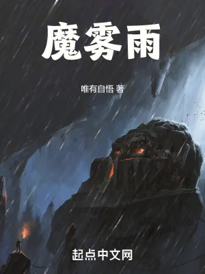 《魔雾雨》小说封面