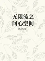 《无限流之问心空间》小说封面
