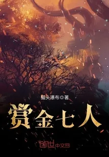 《赏金七人》小说封面