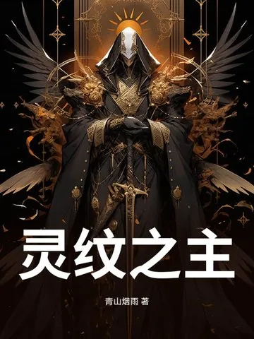 《灵纹之主》小说封面