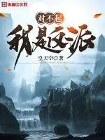 《对不起，我是反派》小说封面