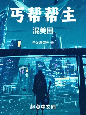 《丐帮帮主混美国》小说封面