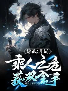 《综武：开局趁人之危，获双全手！》小说封面