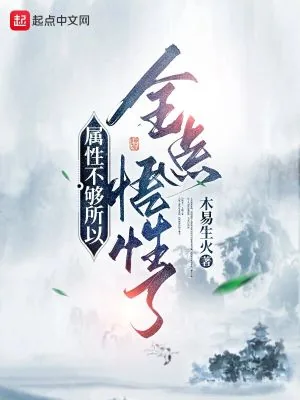 《属性不够所以全点悟性了》小说封面