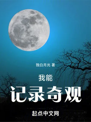 《我能记录奇观》小说封面