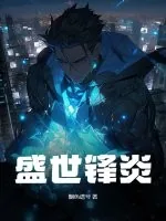 《盛世锋炎》小说封面