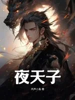 《夜天子》小说封面