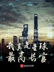 《我真是星球最高长官》小说封面
