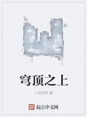 《穹顶之上》小说封面