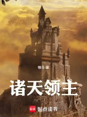 《诸天领主》小说封面