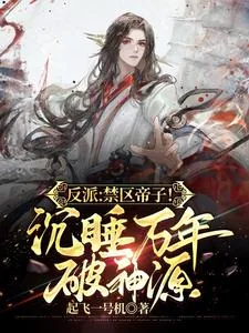 《反派：禁区帝子！沉睡万年破神源》小说封面