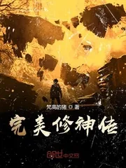 《完美修神传》小说封面
