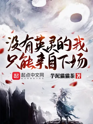 《没有英灵的我只能亲自下场》小说封面
