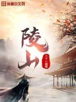 《陵山》小说封面
