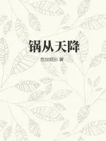 《锅从天降》小说封面