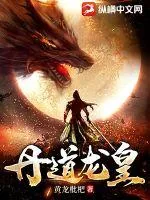 《丹道龙皇》小说封面