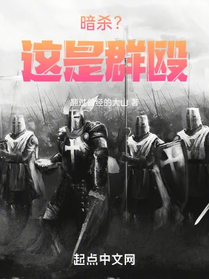 《暗杀？这是群殴》小说封面