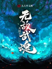 《无敌武魂》小说封面