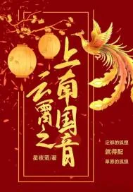 《云霄之上南国音》小说封面