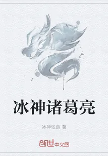 《冰神诸葛亮》小说封面