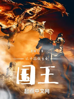 《从开拓领主到国王》小说封面