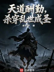《天道酬勤，杀穿乱世成圣》小说封面