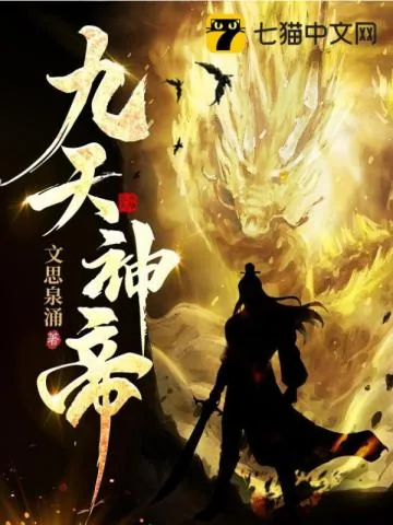 《九天神帝》小说封面