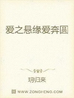 《爱之奇特圆之恋》小说封面