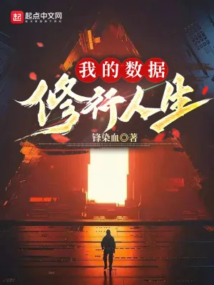 《我的数据修行人生》小说封面