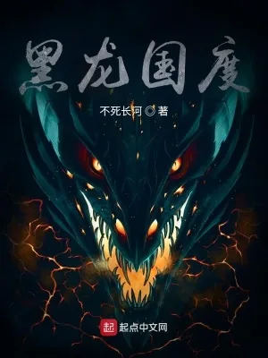 《黑龙国度》小说封面
