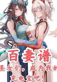 《百妻谱：圣女们，成为我的充电宝吧！》小说封面