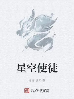 《星空使徒》小说封面