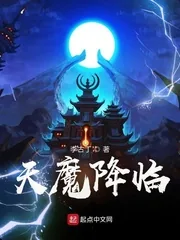 《天魔降临》小说封面