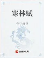 《寒林赋》小说封面